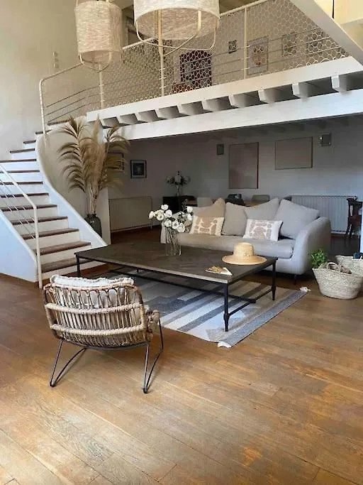 Grand Duplex Lumineux-Hyper Centre Apartment Arles France